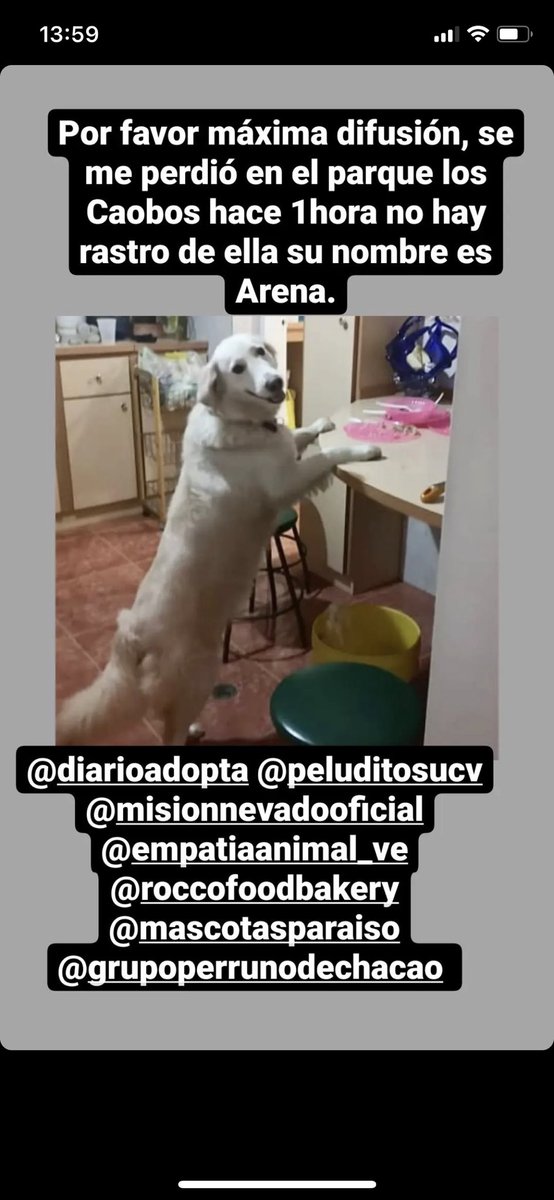 Elisa Rodriguez tweet media