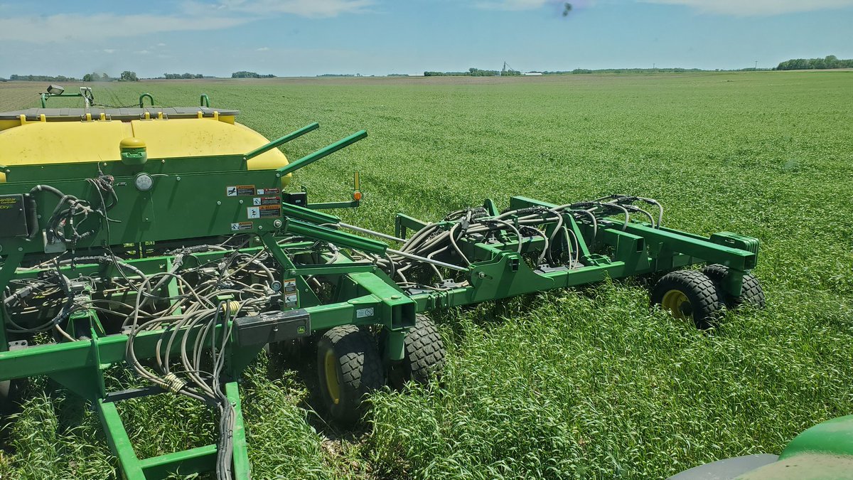 kruser02's tweet image. Green peas planted green, with green!
#notill #SoilHealth