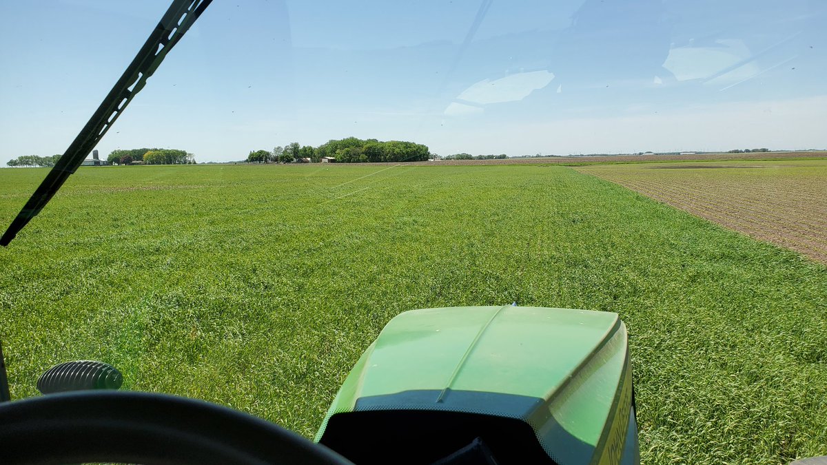 kruser02's tweet image. Green peas planted green, with green!
#notill #SoilHealth