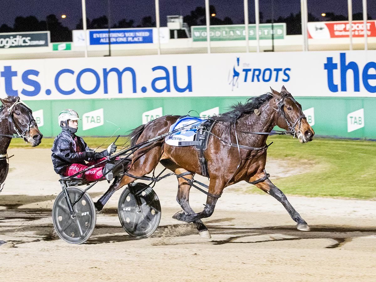 Larajay Farm tweet media