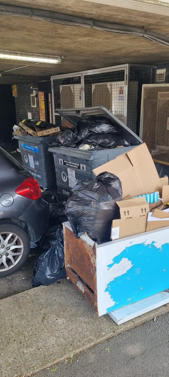 AmyStirling8's tweet photo. @Brentwood_BC Please can you do something about the rubbish in Shenfield outside of @CostaCoffee - it’s disgusting and a breeding ground for rats. It’s gotten worse and completely unacceptable. @alexburghart https://t.co/dAacprOGs8