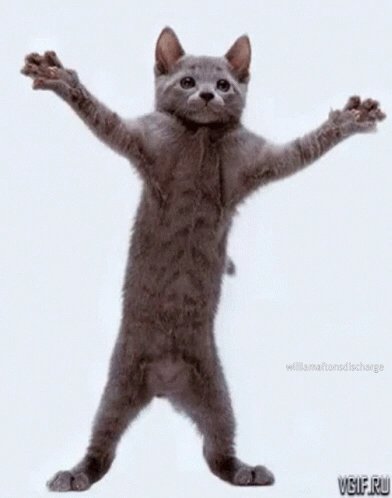 vowell_beth's tweet photo. DEATH TO ALL!!!111!!!##^&amp;#:# https://t.co/U0PeMEImH4