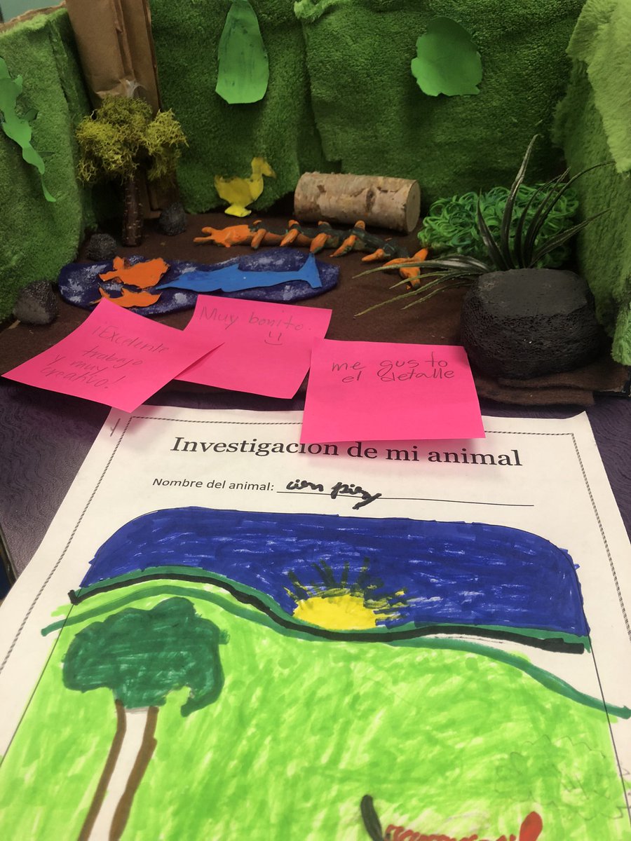 tiffdlrwaterman's tweet photo. Checkout out 4th grade @ms_lyles403 EOY Animal Dioramas 😍 @LinderEagles https://t.co/sUzbIVHsMn