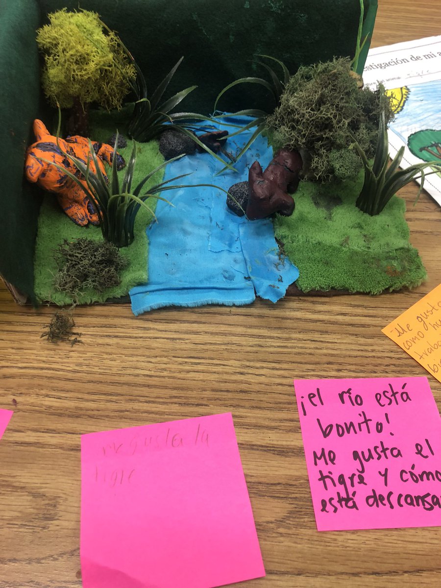 tiffdlrwaterman's tweet photo. Checkout out 4th grade @ms_lyles403 EOY Animal Dioramas 😍 @LinderEagles https://t.co/sUzbIVHsMn