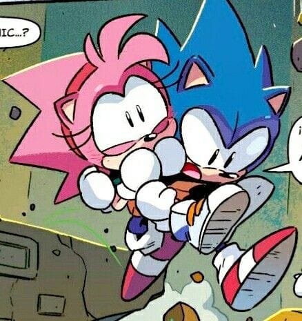t4tcotd's tweet photo. 🗯;; Today's T4T couple of the day is Sonic and Amy Rose from Sonic: The Hedgehog !! https://t.co/VgGfisaR0v