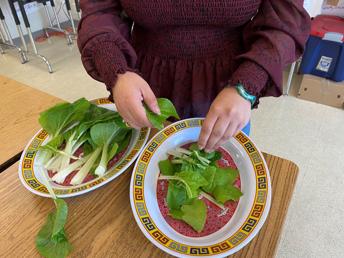 Chinese_Edison's tweet photo. Our Bok Choy is ready to eat. Level 2 students cooked Chinese noodle soup with Bok Choy.🥢🥢🥢😃👍👍 https://t.co/T19vB9770F
