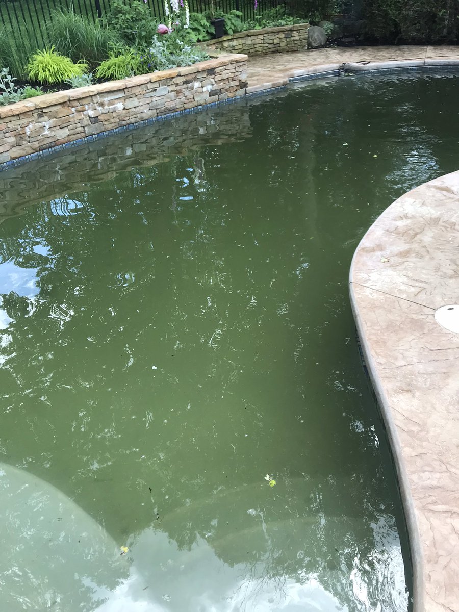 Bill Gerhauser tweet media