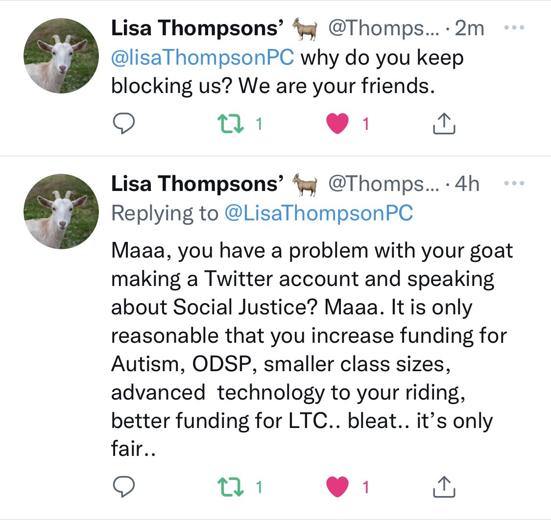 AliceTester3's tweet photo. @LisaThompsonPC Nice to see you get blocked for asking legitimate questions?? This is who Lisa Thompson is. Thin skinned.. paper thin. https://t.co/1UJ2KiHE1P