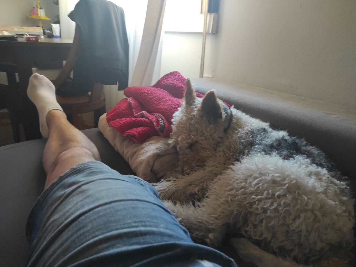 Darth_fraN's tweet photo. Increíble lo de la final de la #ChampionsLeagueFinal  si esto sigue aplazandose, me quedo tan sobado como el perro 🤣🤣🤣🤣🤣 https://t.co/YH2kWuZYeM