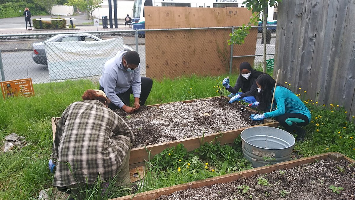 RBAC_David's tweet photo. After the #foodjustice history/theory lesson it's time to get our hands dirty &amp; get some practice pulling weeds &amp; planting crops @SeattleAquarium @BasilicaBio https://t.co/ODLUcWVplz