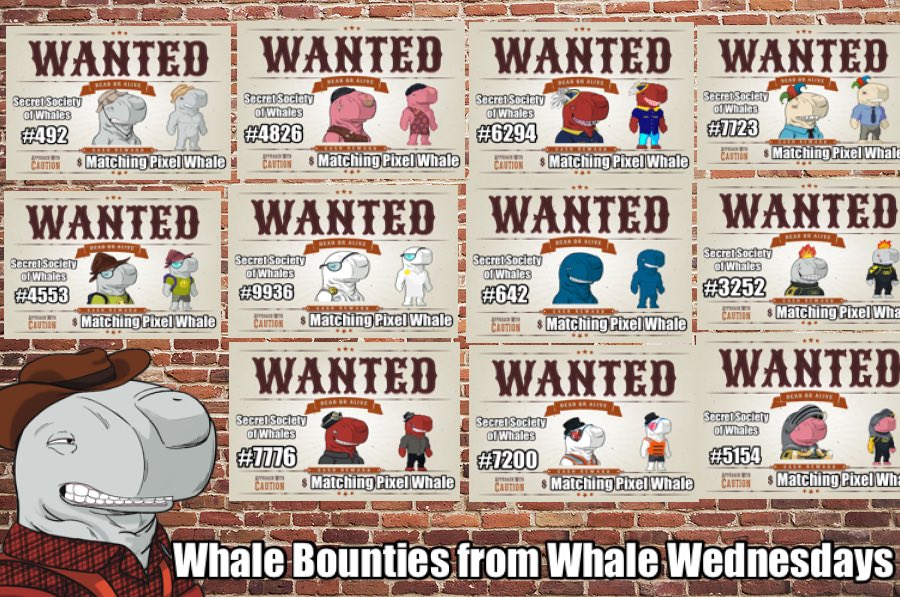 crypto4sight's tweet photo. With bandits on the loose, it’s a great time to become a @SSofWhales Bounty Hunter. 

Selected #SSoW OG whales have a bounty on their heads. Take them out of circulation and @WhaleWed will reward you with the matching Pixel Whales. 

#NFTGiveaway #NFT #NFTdrops https://t.co/VMWwK2AtvX