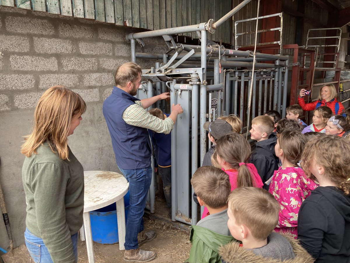 RNCI (@rnci1) on Twitter photo Mosstodlach P4 had a fantastic Farm Visit to Matthew & Carolyn Milne’s farm at Lhanbryde on Thursday. They had great fun learning about Pedigree cattle, hairdryers, sheep, wool, cattle tags and donkeys! Mosstodlach P4 had a fantastic Farm Visit to Matthew & Carolyn Milne’s farm at Lhanbryde on Thursday. They had great fun learning about Pedigree cattle, hairdryers, sheep, wool, cattle tags and donkeys!