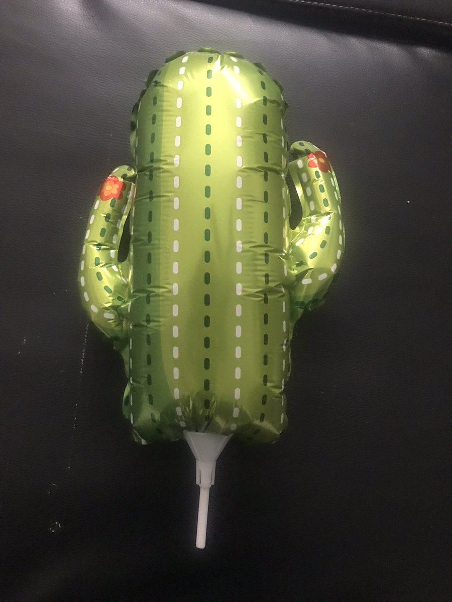 choice7960's tweet photo. Bought the cutest balloon ever!#ACECactus #cactus #ace #choice #donghun #wow #jun #byeongkwan #bk #chan @official_ACE7 https://t.co/dxlNzsM087