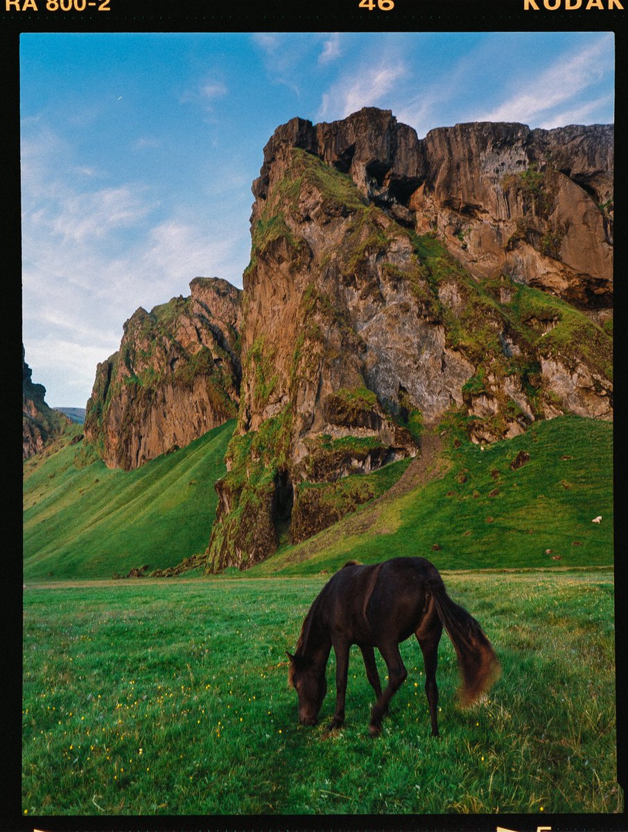 eamonsphotoss's tweet photo. iceland on 120 film https://t.co/7wyRnA5Fyf