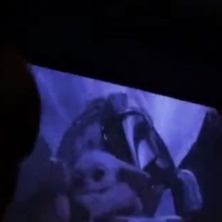 djarinarchives's tweet photo. DIN FLYING WITH GROGU IN HIS LAP!! #StarWarsCelebration https://t.co/Qpj7f6e9D8