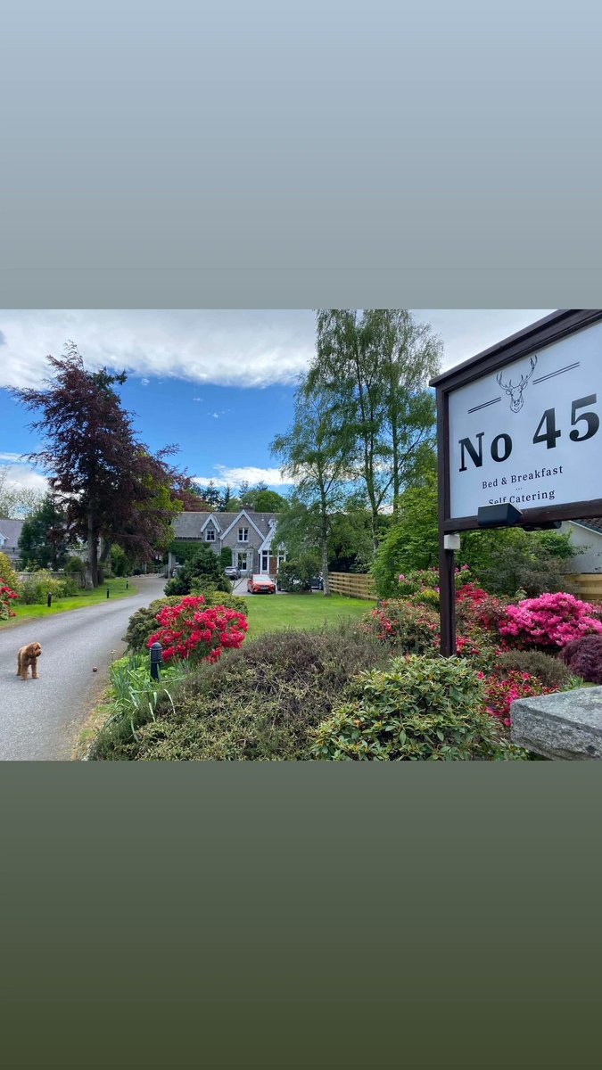 No45GuestHouse1's tweet photo. https://t.co/oas2XAQOJa
