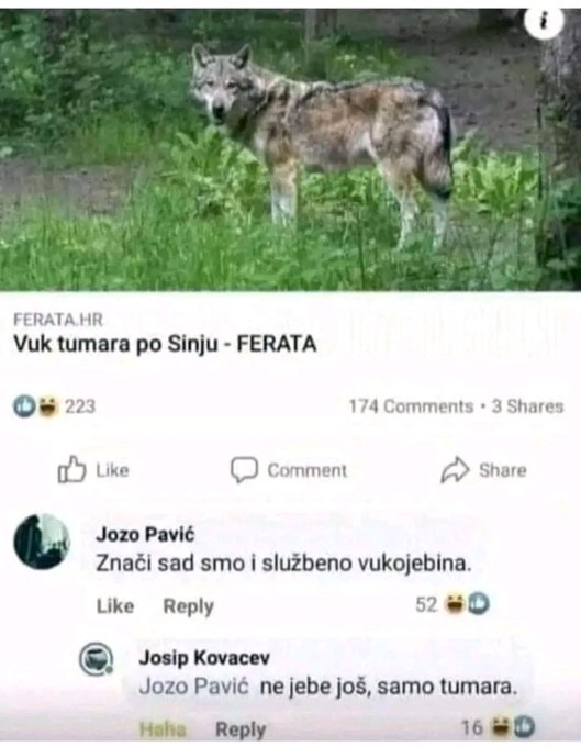 FT3vCGKXoAATJsm?format=jpg&name=small