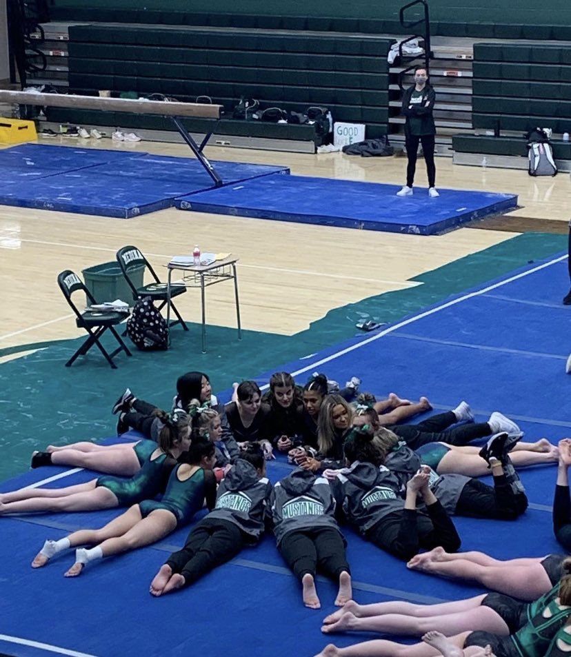 SHSGymnastics's tweet photo. If you are interested in joining us in 22-23 season, please register now! @scsmustangs https://t.co/mWQcAWnhlu