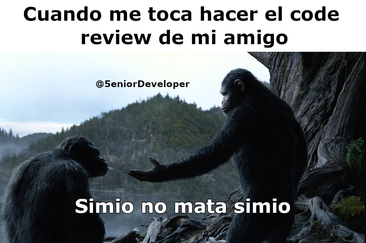 5eniorDeveloper's tweet photo. Volvemos a nuestra programación habitual https://t.co/AVh3enwhxz