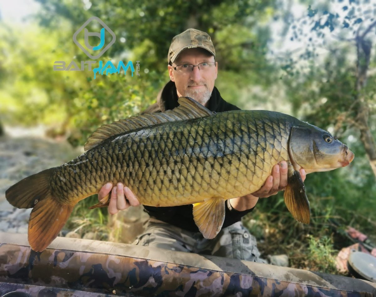 TEAM MEMBER LEE WITH ANOTHER LOVELY EBRO COMMON!
caught on our berry bite range
baitjam.fish
#baitjam #teambaitjam #carp #carpfishing #carpangling #berrybite #wafters #popups