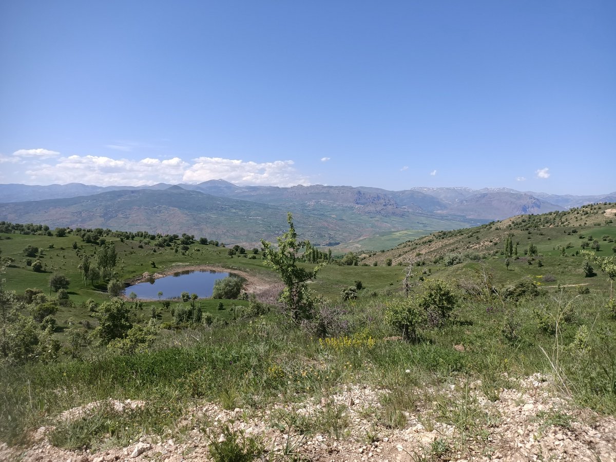 Sebinkhisar_TKK's tweet photo. Buzkeçi, Doğanyuva, Şahinler ve Suboyu köylerine ziyarette bulunduk. Faaliyetlerimiz anlattık, talep ve önerileri aldık. Köy muhtarlarımıza ve Y. K. Başk. Yard. Nuri Çifci'ye teşekkürler https://t.co/D7rUmkNobv
