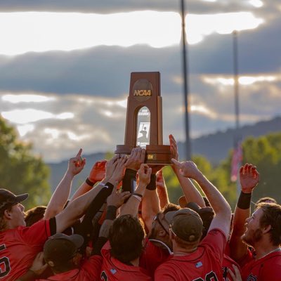 North Greenville University Athletics tweet media