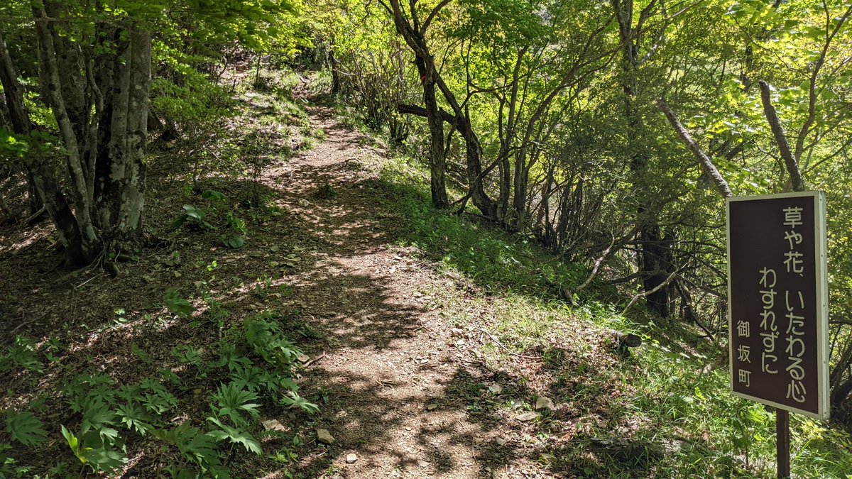 藤原 (@mutekiinc2) / Posts / X