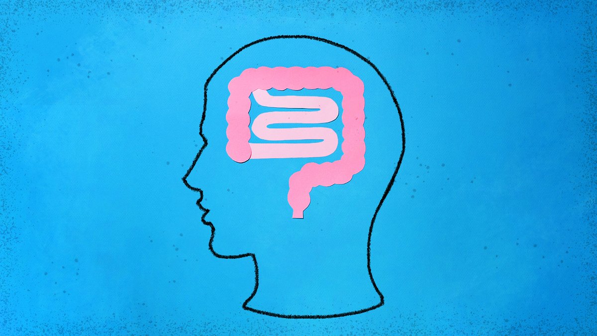 LaughasteGodIs's tweet photo. Gut health is a form of mental health! 70% of your serotonin, your "Happy Hormone" natural anti depressant &amp; mood regulator is made in your gut. https://t.co/TSMDMW3f1R