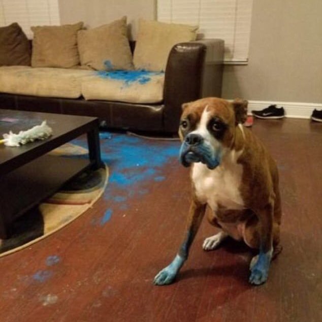 In six words or fewer, write a story about this photo.
#sixwordstory #WritingCommunity