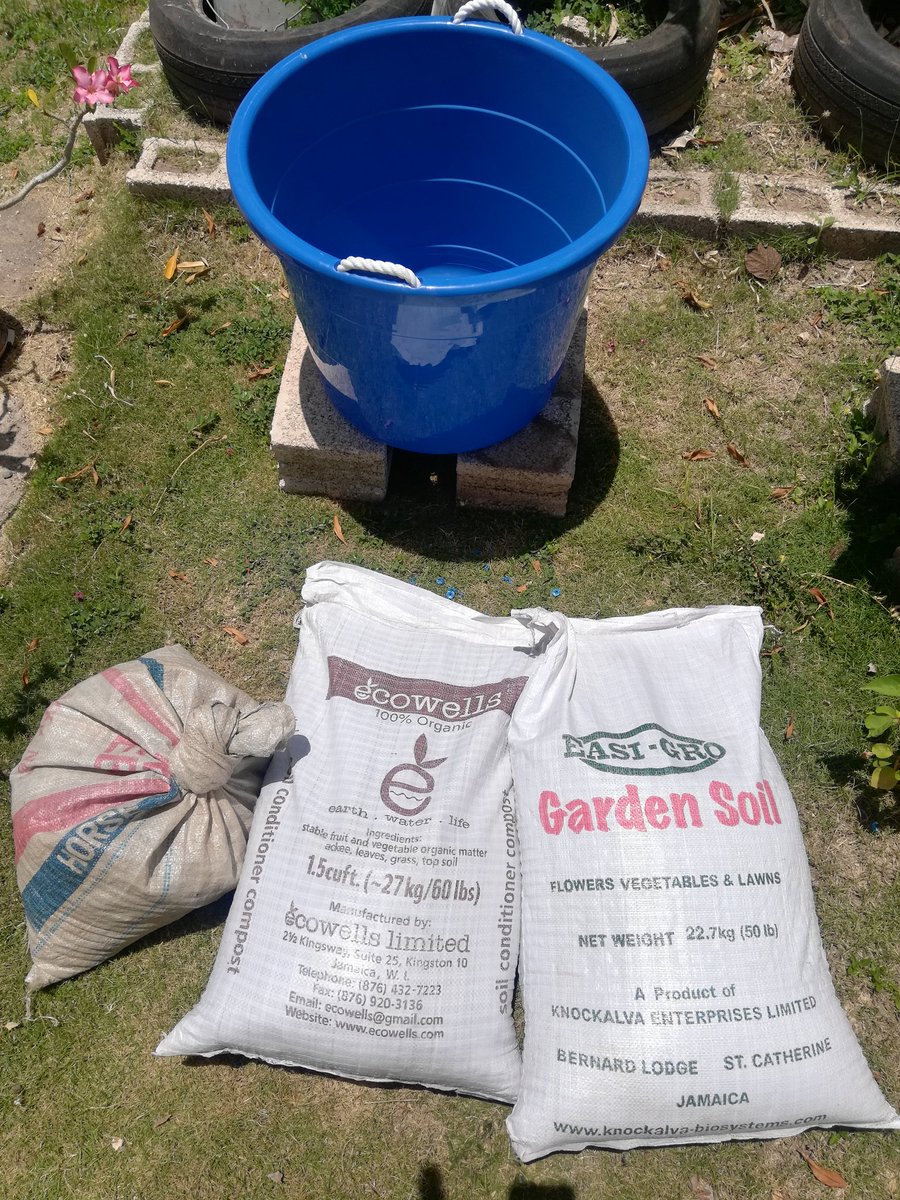dksmithcybertog's tweet photo. Got my 2nd batch of bucket sweet potatoes in today. Looking forward to see what results I get from this process. #backyardgarden #bucketfarming #bucketlife #farminginja #backyardfarming https://t.co/ThC3zO2bXQ