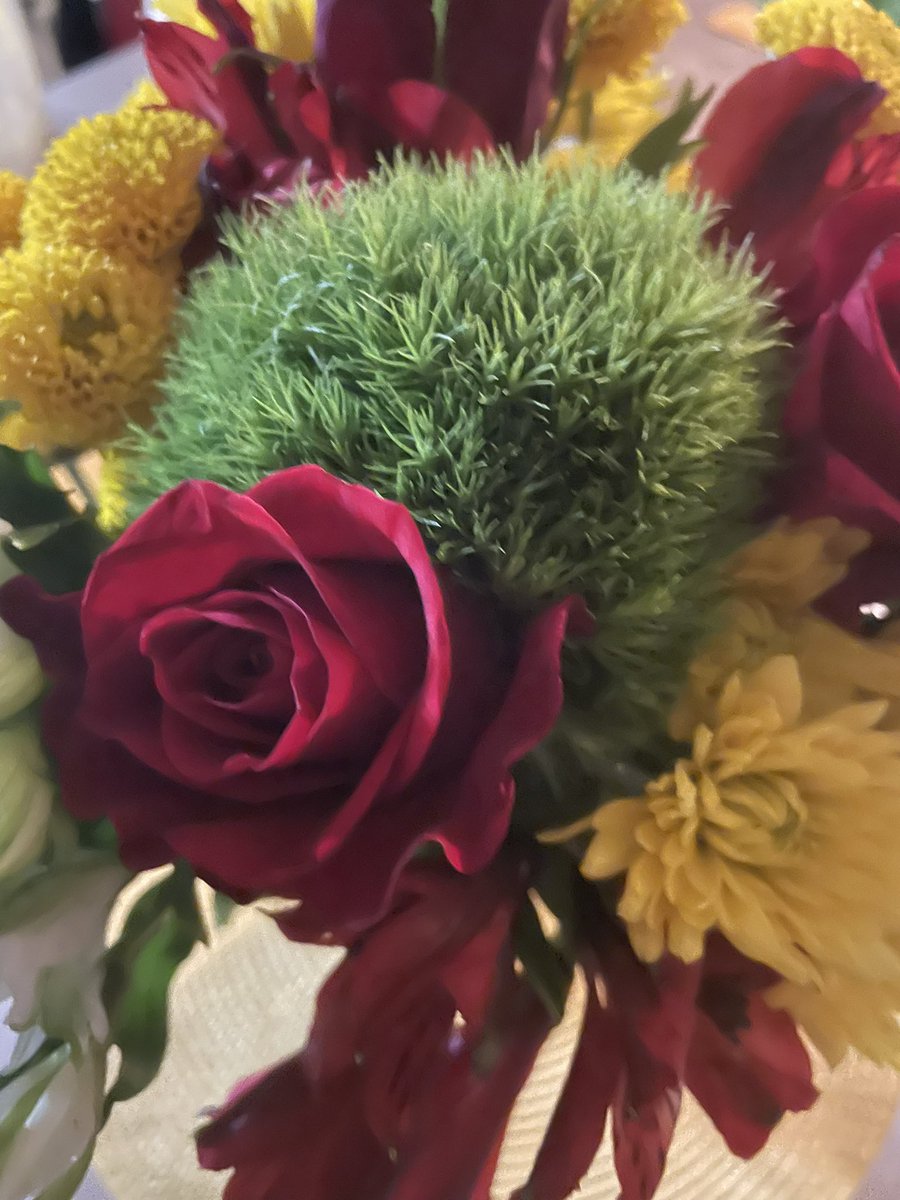 askyayijoyce's tweet image. Just some flowers from mi garden to brighten your timeline #GardeningTwitter #rootworker life