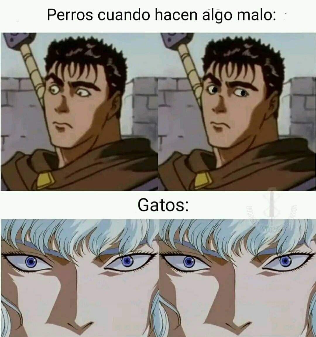 SoyFedelobo's tweet photo. 🤣 https://t.co/KPcIW4hiyp