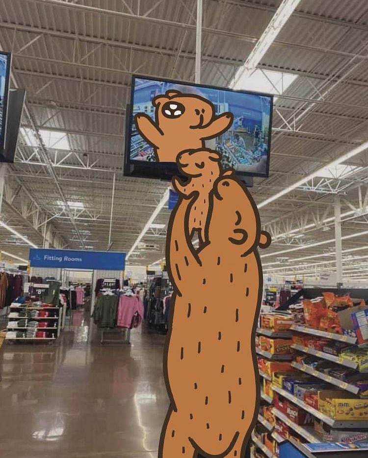 louis (@chiguilouis) on Twitter photo 