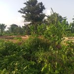 Photo by YOUR IBADAN FRIENDS (@IbadanFriend)