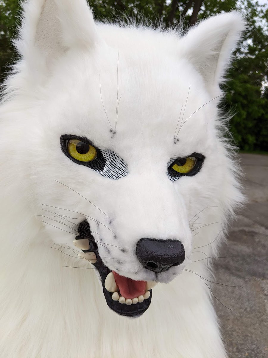 DrakonicKnight's tweet photo. Selling my Fushi head, hands, and tail (Fumetsu no Anata e / To Your Eternity)!

Feet can be included for $200 but are used, size 9.

(It is 10% off on my website for $2700 until the 31st!)
https://t.co/lVJmgBTYoV

Brand new, only used for a photoshoot. https://t.co/yFLCzyKQZn