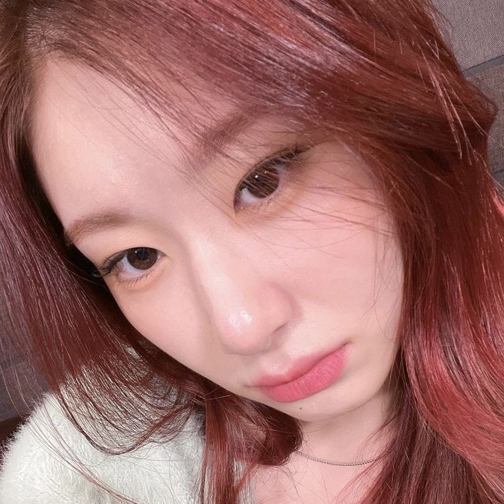 ᐢ..ᐢ tweet media