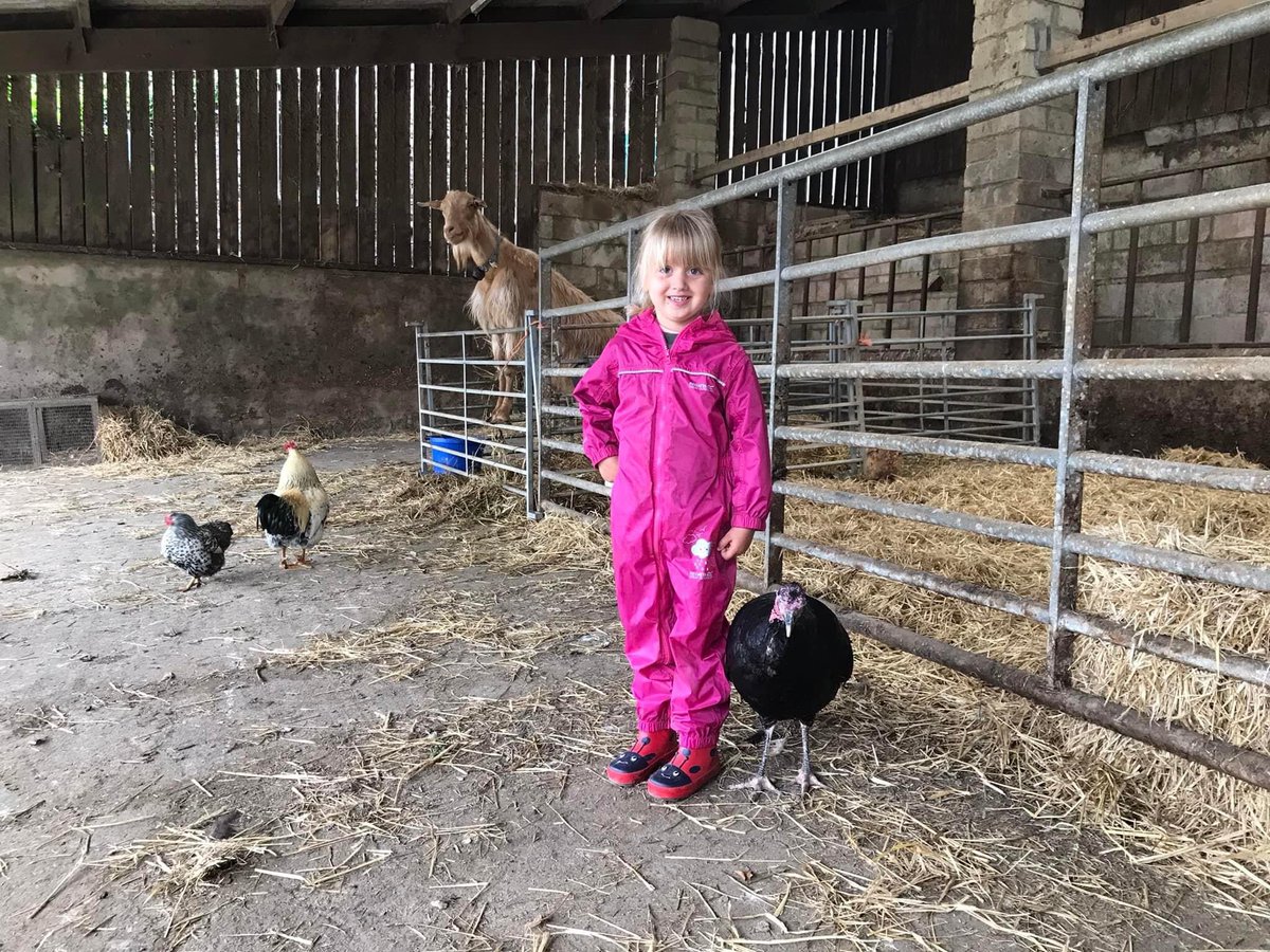 FarmerJamesHT's tweet photo. Loads of fun on the farm this week ❤️#farmholidays #familyfriendly #dogfriendly Limited #Juneavailability in Owl Barn #bookdirect https://t.co/TkYrE9A2ml