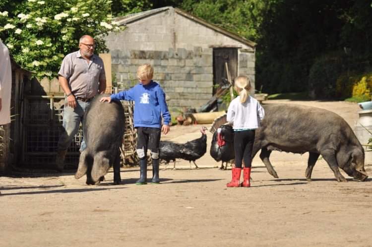 FarmerJamesHT's tweet photo. Loads of fun on the farm this week ❤️#farmholidays #familyfriendly #dogfriendly Limited #Juneavailability in Owl Barn #bookdirect https://t.co/TkYrE9A2ml