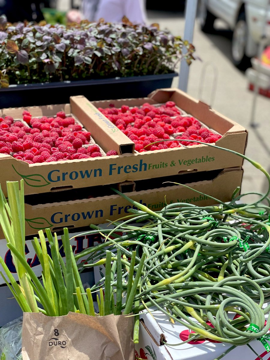 Beautiful spring haul at the Farmers’ Market today! Red shiso, the sweetest rasberries from Yerena Farms, garlic scapes and more to use on the menu this week!