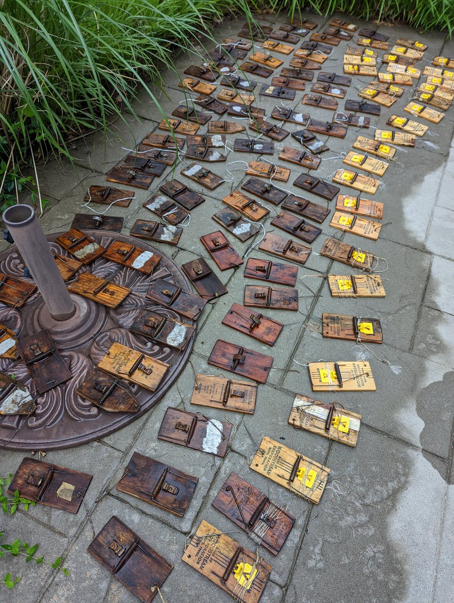 Jocelyn P. Colella tweet media