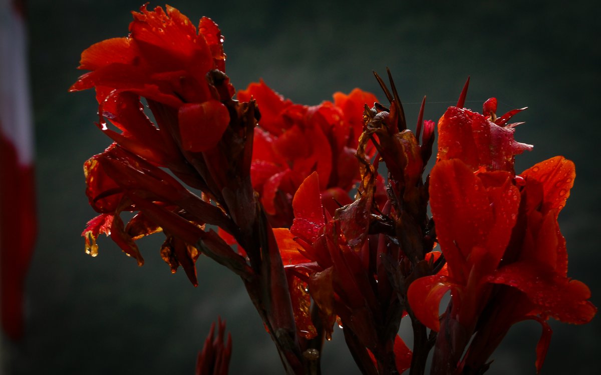 Beta Mixs tweet media