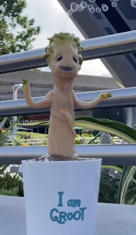 Kevin Lively tweet media