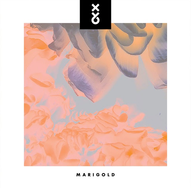 XY&amp;O Share New Single ‘Marigold’ dlvr.it/SRDlTX