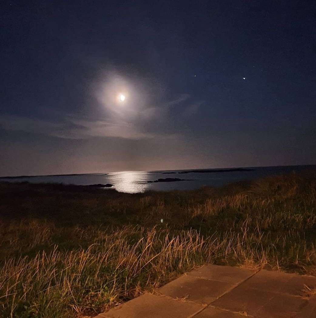 dhstapleton's tweet photo. @Rosi_tuathglass East Coast versus West Coast Rosi!! #ireland #wildatlanticway https://t.co/FE1KbDbvy7