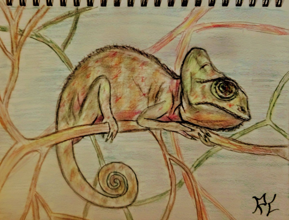 TDZ_ART's tweet photo. Here's some of my Random sketchbook 
Art!
#ArtistOnTwitter https://t.co/KCDdpDnwtr