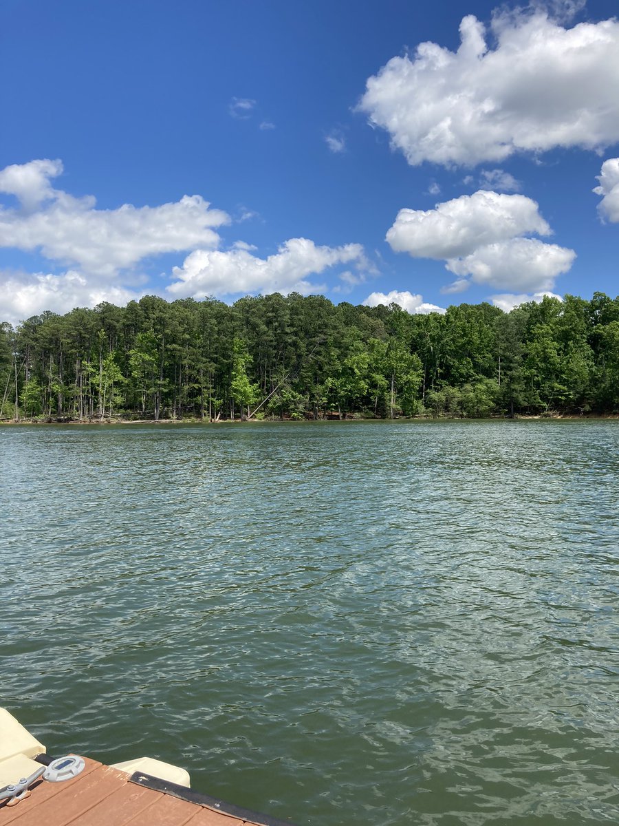 jsbtarheel95's tweet photo. Love this place!!! #KerrLake https://t.co/XsrY7gkYZs