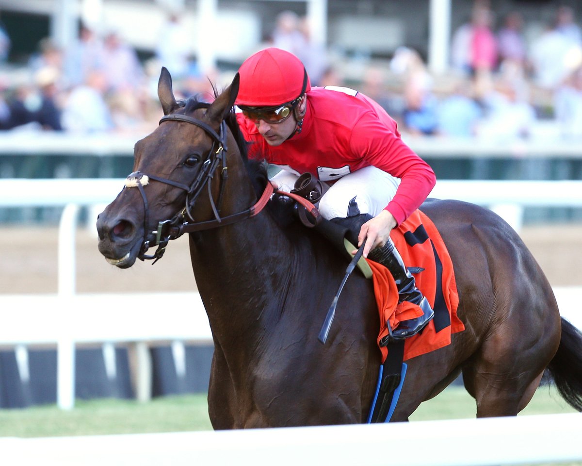 KyHBPA's tweet photo. Congrats to @PocketAcesRacin's Temple City Terror for repeating in #ChurchillDowns' Keertana Stakes for @brenpwalsh & @ABeschizza! @CoadyPhoto pix https://t.co/FgsTgRrbXr