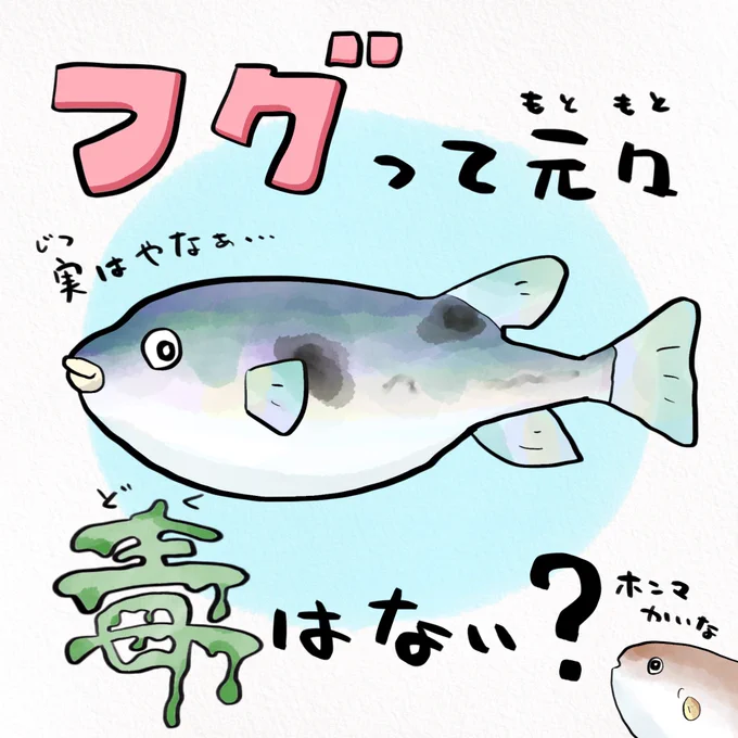 毒のないフグもつくれる 
