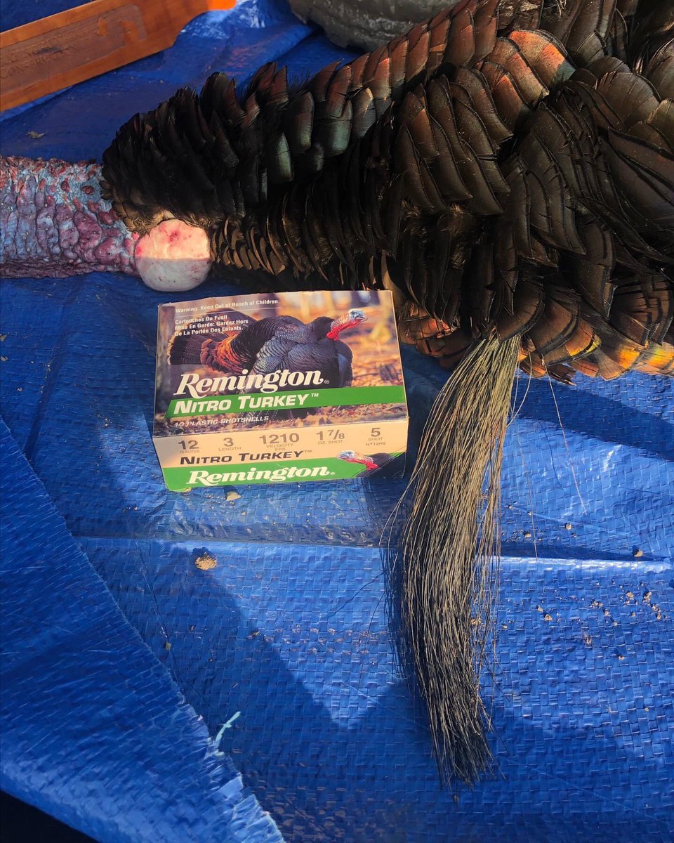 deanyoungmusi's tweet photo. #eatwhatyouharvest Enjoying bacon wrapped #wildturkey a glass of red & homemade #greeksalad tonight!
#bbqfood #bbqwildgame #jake
#deanyoung
#weatherby
#remingtonnitromag
#quakerboy
#whatgetsyououtdoors
#wildgame #lovetheoutdoors #wildturkeyhunting #jacksontriggs #smoothred https://t.co/vLgooOlZWv