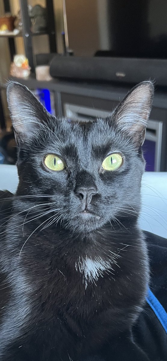 NAYSAYERX tweet media